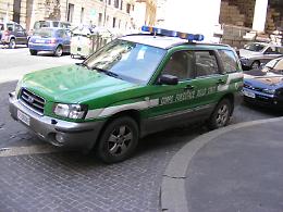 ROMA. Corpo forestale annuncia 163 roghi in tutta Italia