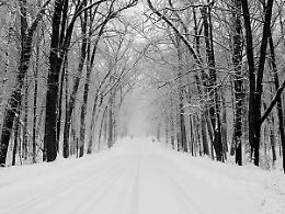ROMA. Maltempo: Autostrade, nevica senza sosta al nord, Tir in coda