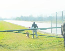 CASTIGLIONE. Cane cade nel canale, salvo per miracolo