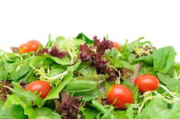 ROMA. Da agosto nuove regole commercio insalate pronte