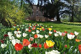 PRALORMO. Messer Tulipano 2015