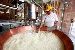 ROMA. Latte: Grana Padano, nostro prodotto sicuro, sano e garantito