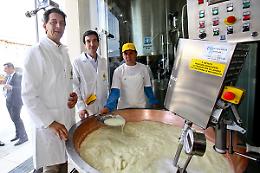 MILANO. Expo. Al via la produzione di Grana Padano “Made in Expo"