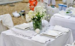 VENARIA. Cena i bianco: 15 mila alla Reggia