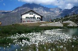 CERESOLE. Jervis