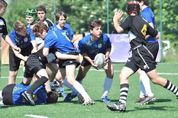 RUGBY. VII Rugby, tutto pronto per l&#039;8° &quot;Torneo della Torre&quot;