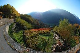 CAREMA. Così i giovani diventano guide turistiche