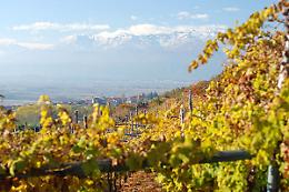 LE ROCCHE MALATESTIANE e Sangiovese di Romagna