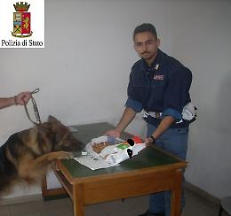TORINO. Biscotti all'hashish al Cie Torino, arrestato