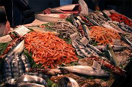 TORINO. Commercio: un'App smaschera le frodi sui banchi del pesce