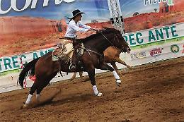 TEAM PENNING. Di Viggiano sogna il Titolo Mondiale