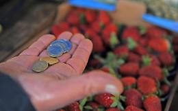 MILANO. Crisi: Censis, per 2,4 mln famiglie difficoltà comprare cibo