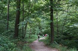 CASALBORGONE. È nata “Gente di Bosc Grand”