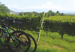 CICLOTURISMO. La Munta an Bike dà vita alla Cicloturistica Off Road MTB