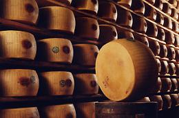 MODENA. Furti di 2.000 forme Parmigiano, otto custodie cautelari
