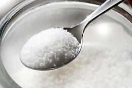 TORINO. Sugar art, biennale creatività a base di zucchero