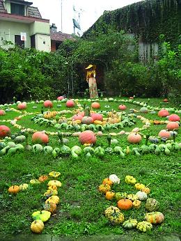 BRANDIZZO. La Sagra della Zucca compie 18 anni