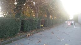 VALPERGA. Cimitero indecoroso ai Santi