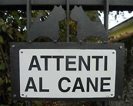 TORINO. Cane spaventa ladro in casa e lo 'sequestra' in bagno