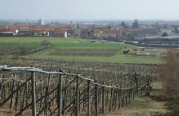 VILLAREGGIA. La Sagra del Brut & Brut