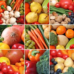 ROMA. Alimentare: l'Italia è il "controllore" n.1 al mondo