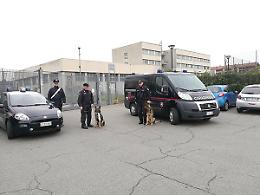 TORINO. Arrestato 'super pusher' di San Salvario