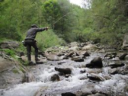 RONCO CANAVESE. Pescare nel torrente Forzo. Per gentile concessione del Re