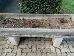 MAPPANO. Furto di fiori
