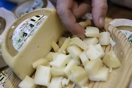 TORINO. Cheese compie 20 anni, 'battaglia finale' per latte crudo