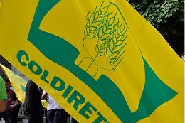 Una petizione contro la variante Lombardore-Front della 460