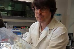 TORINO. Plastiche biodegradabili, ricercatore italiano 'vola' in Usa