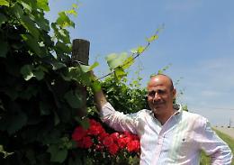 ASTI. Vino: Douja d'Or Asti, premiati 283 vini italiani
