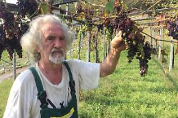 LUGNACCO. La grandinata ha devastato i vigneti