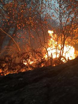 VAL DELLA TORRE. Incendi: bruciano boschi nel Torinese, in azione 2 elicotteri