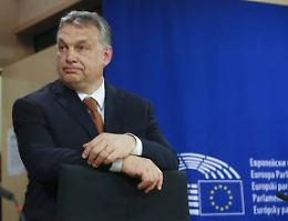 SETTIMO. Cos'è la destra
