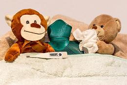 TORINO. Salute: biologi Torino, mirtillo rosso previene influenza