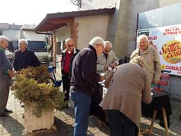 RONDISSONE. Raccolta firme contro Ferlplant
