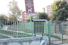 SETTIMO. Cittadini esasperati dai cani