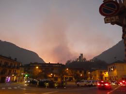 CANAVESE. Siccità e incendi: lo sterminio della fauna selvatica