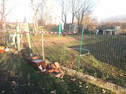 MONTEU DA PO. Addestratore morto, non sbranato ma ucciso da malore