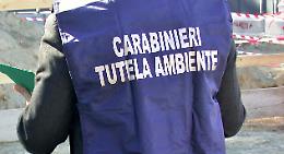 ROMA. Ambiente: Costa, 50 unità Noe in più per Terre fuochi Italia