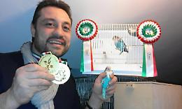 CASTIGLIONE. Massimiliano ha i pappagalli più belli e premiati del mondo