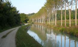 SETTIMO VITTONE. Noro: "La ciclovia sul Naviglio si deve fare"
