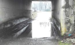 SETTIMO TORINESE. Il Convento delle Suore Oblate ancora alle prese con la pioggia “Qui il rischio alluvione esiste,  il Comune ci metta in sicurezza”