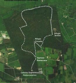 TRINO. Camminata con Legambiente nel Bosco della Partecipanza