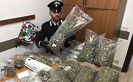 LEINI. Arrestato  un rappresentante di marijuana. Viaggiava con la staffetta per evitare di essere controllato