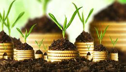 ROMA. L'eco - innovazione dei piccoli borghi, 10 esempi virtuosi