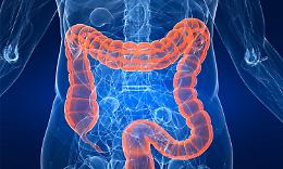 LIVORNO FERRARIS. I monumenti si colorano di rosa contro le malattie dell’intestino
