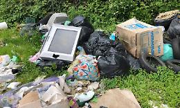 VOLPIANO. Quella incivile assenza di cervello