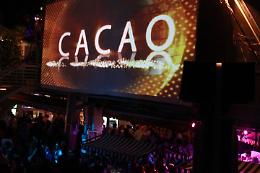 TORINO. Inchiesta Cacao, indagato a sindaca 'trappola per te'